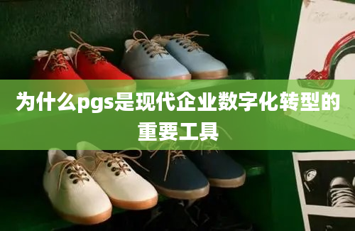 为什么pgs是现代企业数字化转型的重要工具