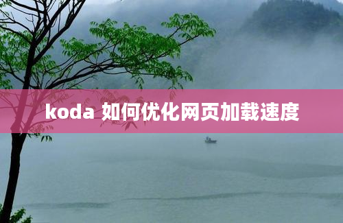 koda 如何优化网页加载速度