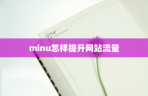 minu怎样提升网站流量