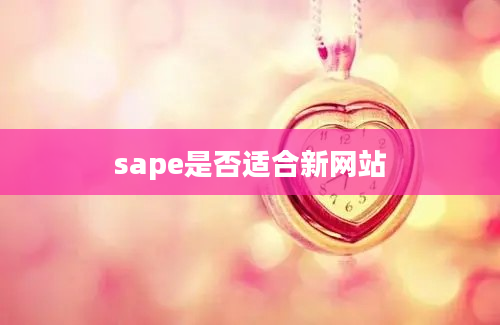 sape是否适合新网站