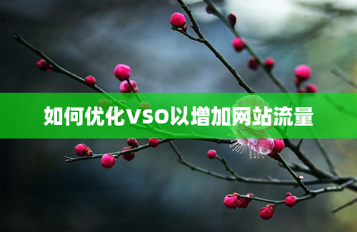 如何优化VSO以增加网站流量