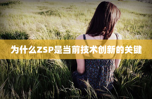 为什么ZSP是当前技术创新的关键