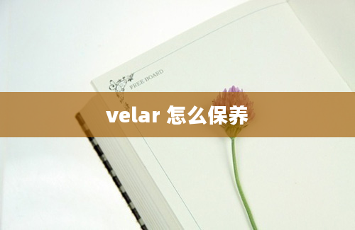 velar 怎么保养