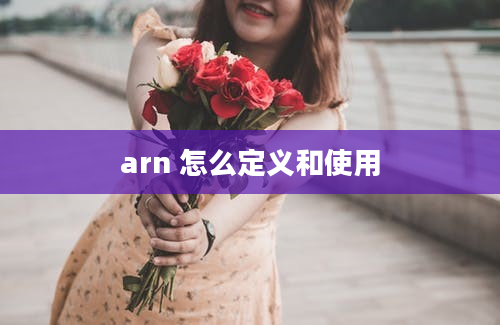 arn 怎么定义和使用