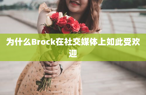 为什么Brock在社交媒体上如此受欢迎