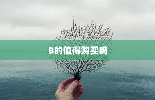 B的值得购买吗