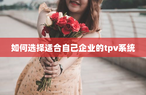 如何选择适合自己企业的tpv系统