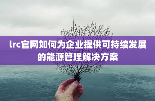 lrc官网如何为企业提供可持续发展的能源管理解决方案