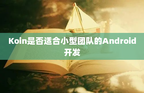 Koin是否适合小型团队的Android开发