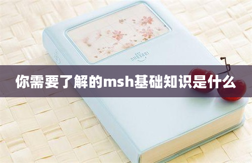 你需要了解的msh基础知识是什么