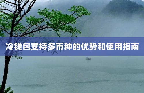 冷钱包支持多币种的优势和使用指南