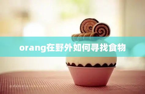 orang在野外如何寻找食物