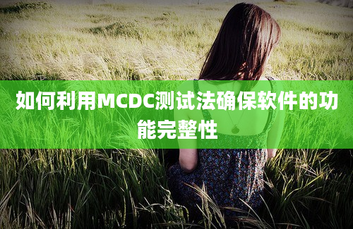 如何利用MCDC测试法确保软件的功能完整性