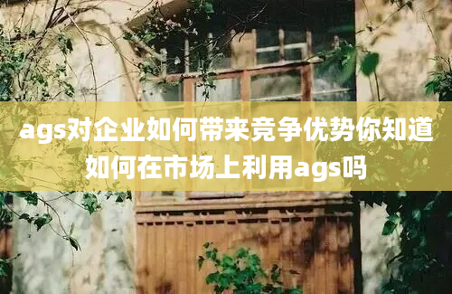 ags对企业如何带来竞争优势你知道如何在市场上利用ags吗