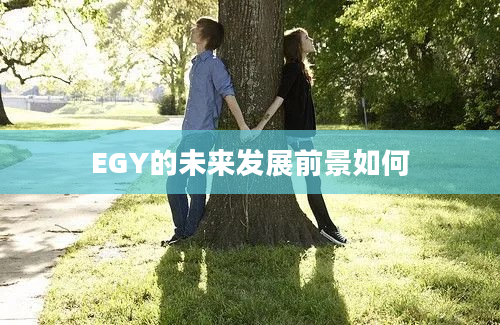 EGY的未来发展前景如何