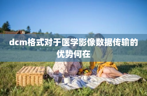 dcm格式对于医学影像数据传输的优势何在