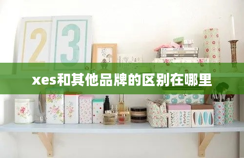 xes和其他品牌的区别在哪里