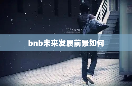 bnb未来发展前景如何