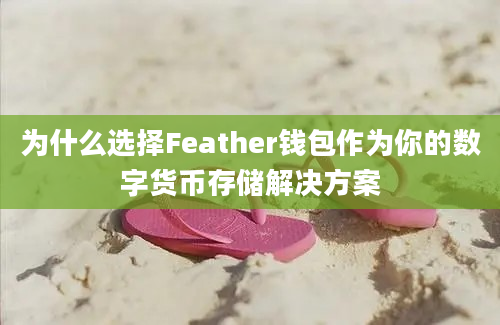 为什么选择Feather钱包作为你的数字货币存储解决方案