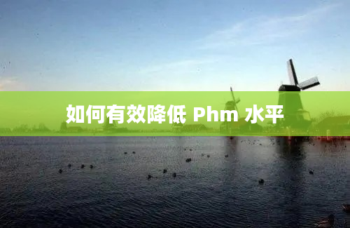 如何有效降低 Phm 水平