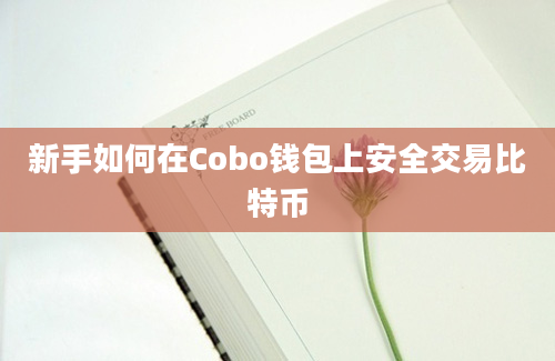 新手如何在Cobo钱包上安全交易比特币