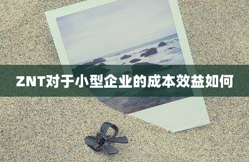 ZNT对于小型企业的成本效益如何