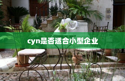 cyn是否适合小型企业