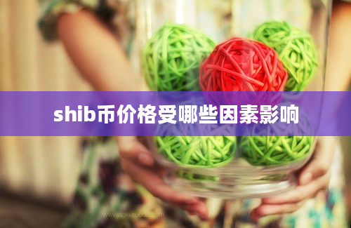 shib币价格受哪些因素影响