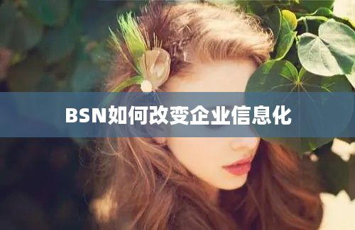 BSN如何改变企业信息化