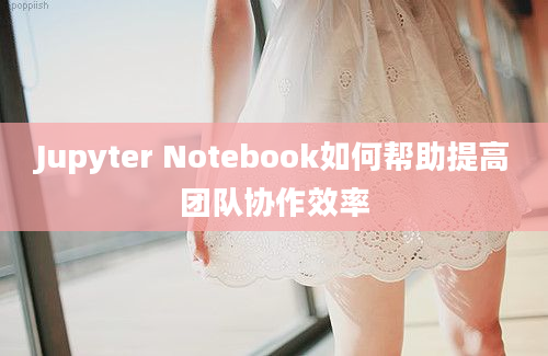 Jupyter Notebook如何帮助提高团队协作效率