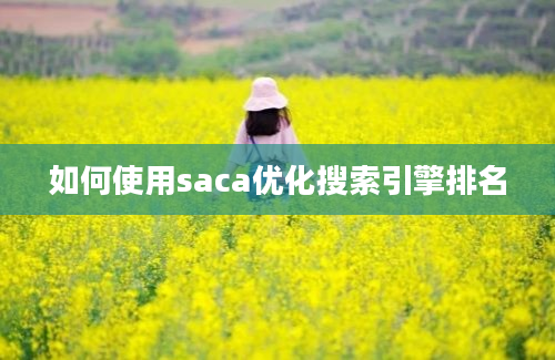 如何使用saca优化搜索引擎排名