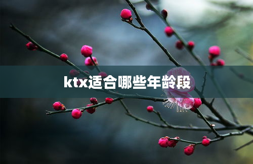 ktx适合哪些年龄段