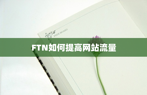 FTN如何提高网站流量