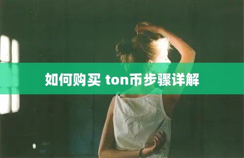 如何购买 ton币步骤详解