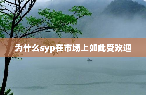 为什么syp在市场上如此受欢迎