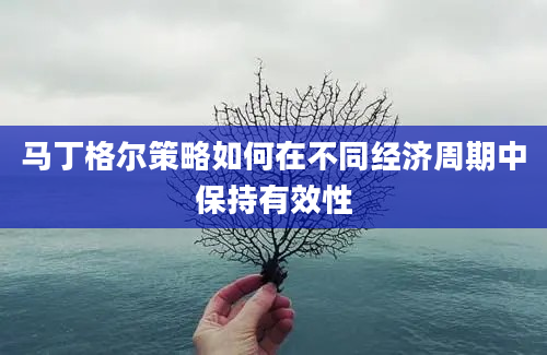 马丁格尔策略如何在不同经济周期中保持有效性