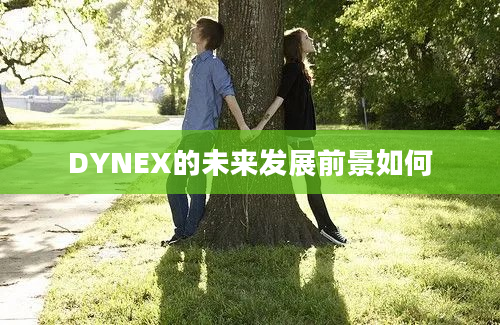 DYNEX的未来发展前景如何