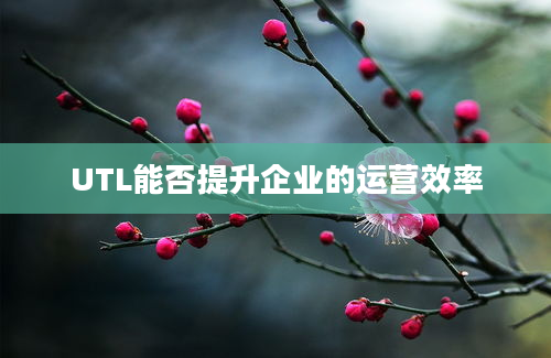 UTL能否提升企业的运营效率