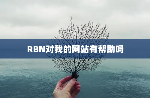 RBN对我的网站有帮助吗