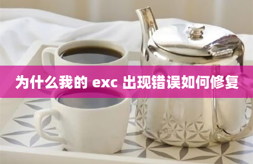 为什么我的 exc 出现错误如何修复