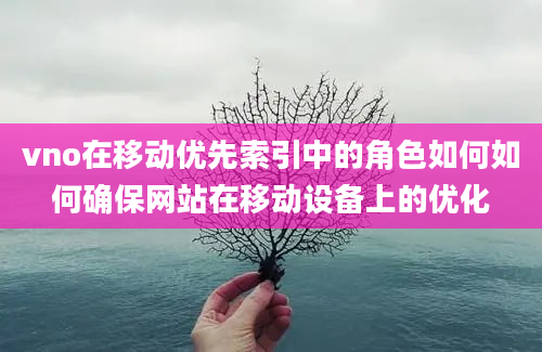 vno在移动优先索引中的角色如何如何确保网站在移动设备上的优化