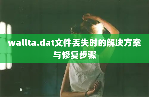 wallta.dat文件丢失时的解决方案与修复步骤