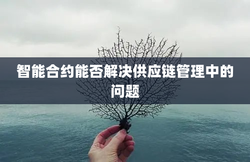 智能合约能否解决供应链管理中的问题