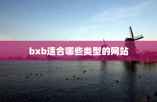 bxb适合哪些类型的网站