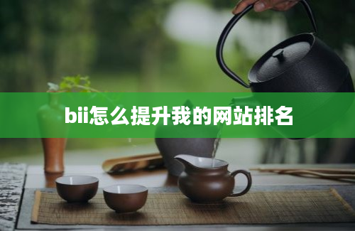 bii怎么提升我的网站排名