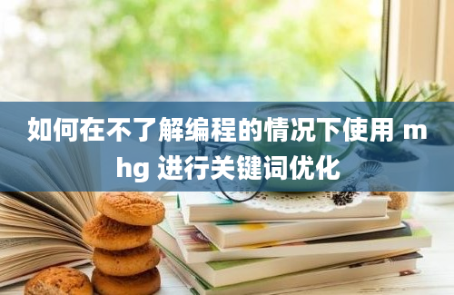 如何在不了解编程的情况下使用 mhg 进行关键词优化