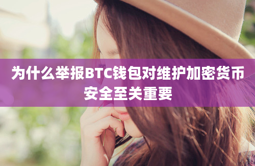 为什么举报BTC钱包对维护加密货币安全至关重要