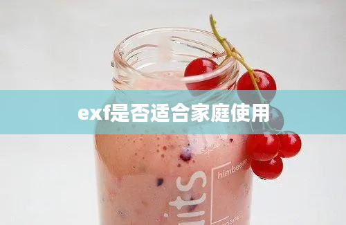 exf是否适合家庭使用