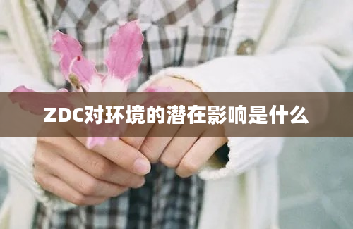 ZDC对环境的潜在影响是什么