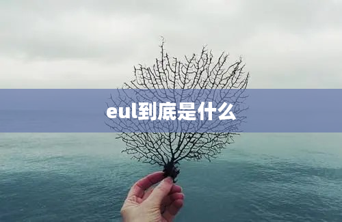 eul到底是什么